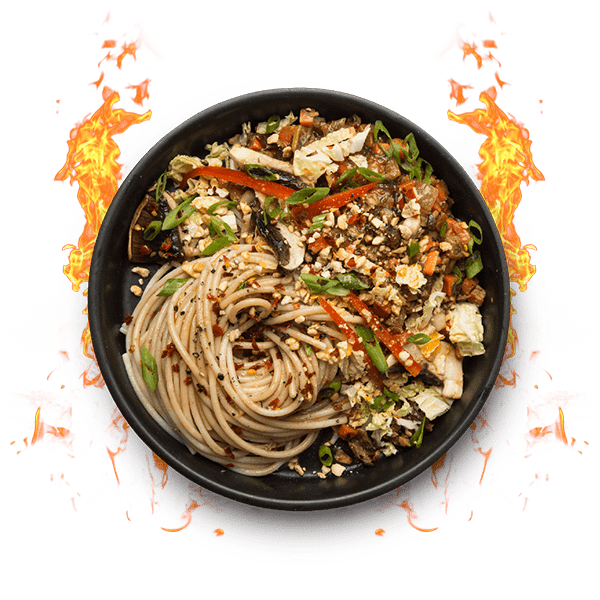 حزمة البداية الأساسية